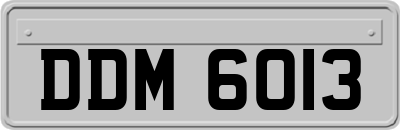 DDM6013