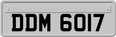DDM6017