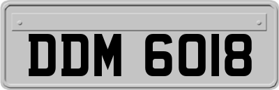 DDM6018