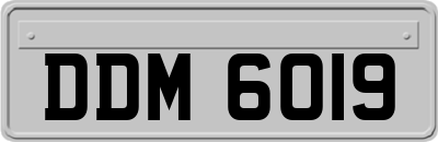 DDM6019