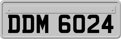 DDM6024
