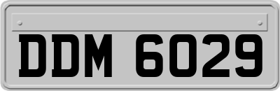 DDM6029