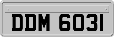 DDM6031