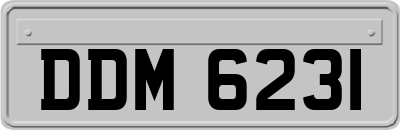 DDM6231