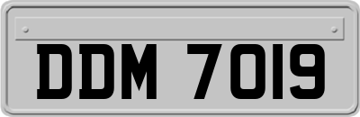 DDM7019