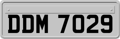 DDM7029