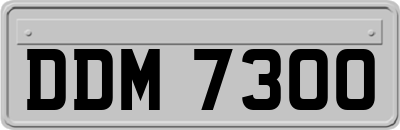 DDM7300