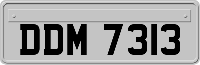 DDM7313
