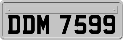 DDM7599