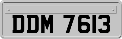 DDM7613