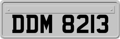 DDM8213