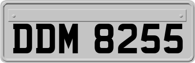 DDM8255