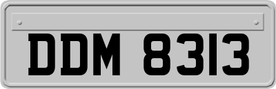DDM8313