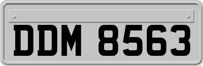 DDM8563