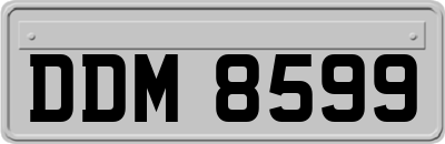DDM8599