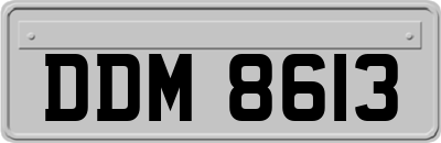 DDM8613