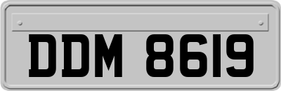 DDM8619