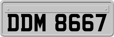 DDM8667