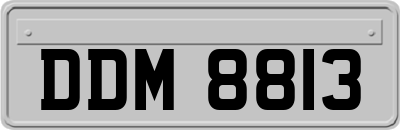 DDM8813