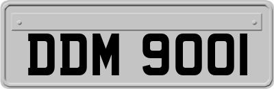 DDM9001