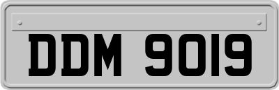DDM9019