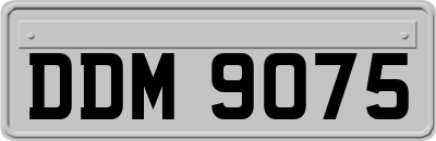 DDM9075