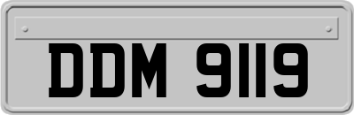 DDM9119