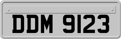 DDM9123
