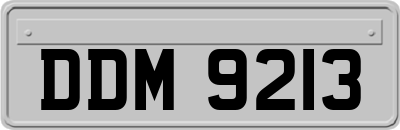 DDM9213