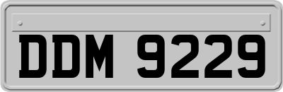 DDM9229