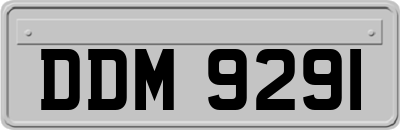 DDM9291