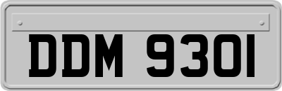 DDM9301