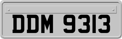 DDM9313