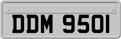 DDM9501