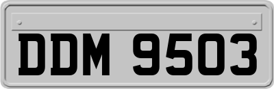 DDM9503