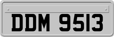 DDM9513
