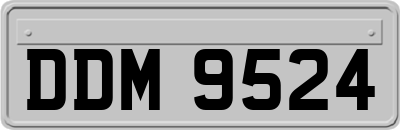 DDM9524