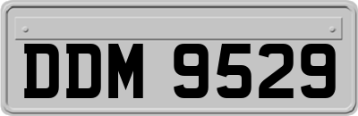 DDM9529