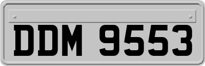 DDM9553