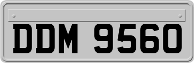 DDM9560