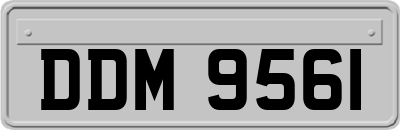 DDM9561