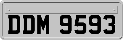 DDM9593