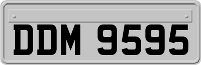 DDM9595