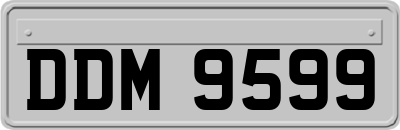 DDM9599