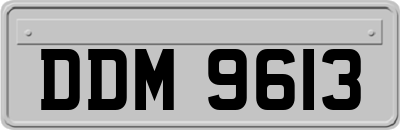 DDM9613