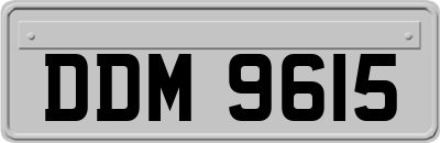 DDM9615