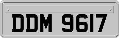 DDM9617