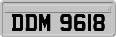 DDM9618