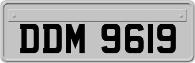 DDM9619