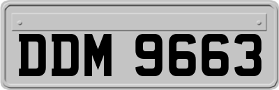 DDM9663